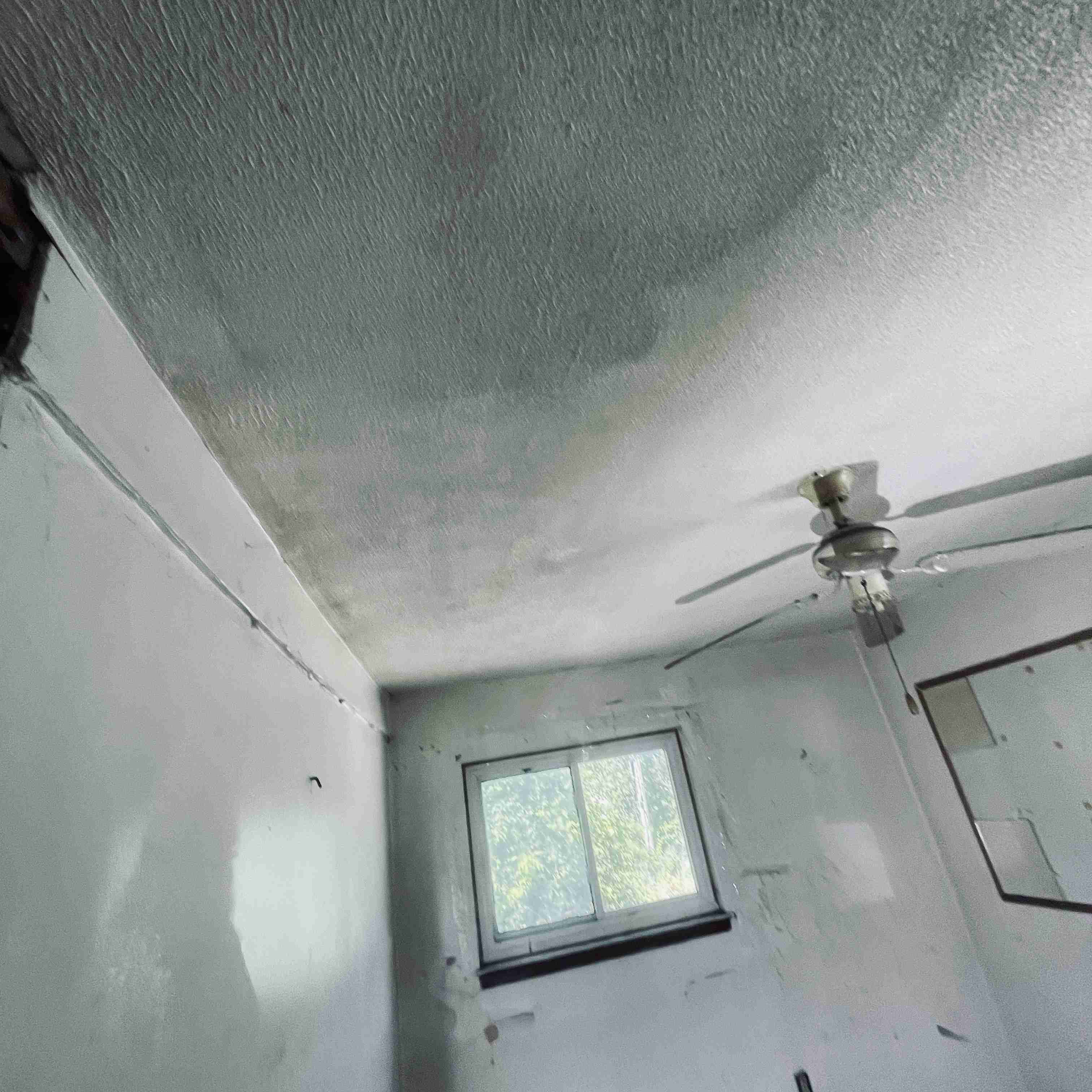 14241 Coyle (36).jpg